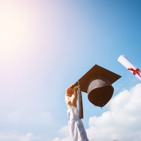 diploma